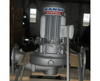 Насос 4/80-Bauart D3 (395010) Banss Austria