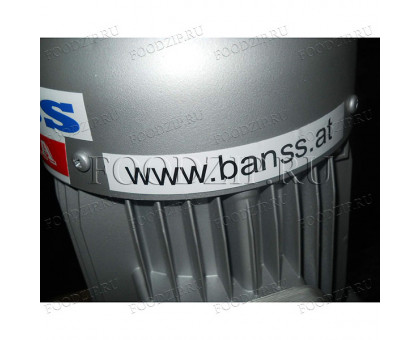 Насос 4/80-Bauart D3 (395010) Banss Austria